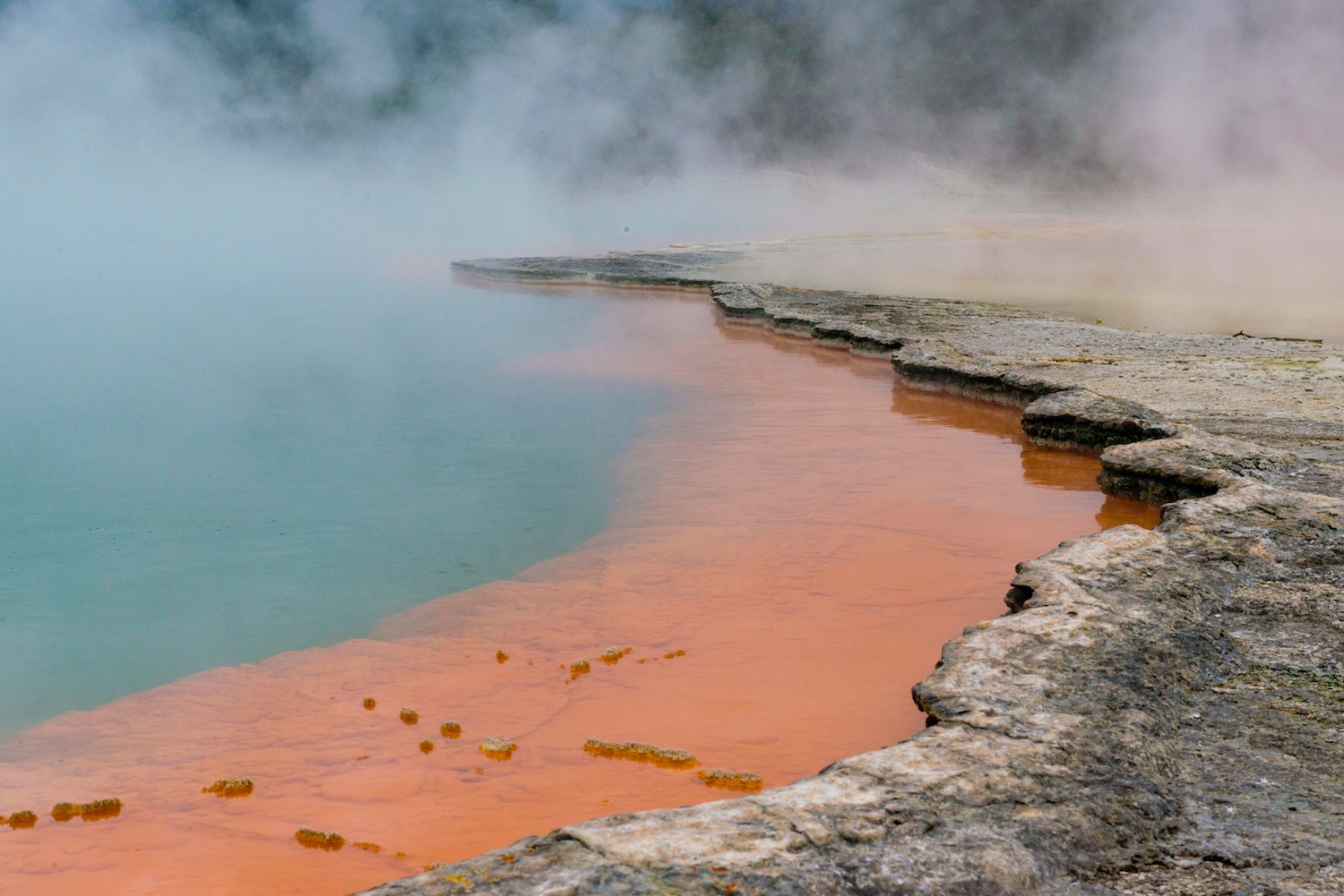 Thermal, sulphuric hot springs in Rotorua, New Zealand 