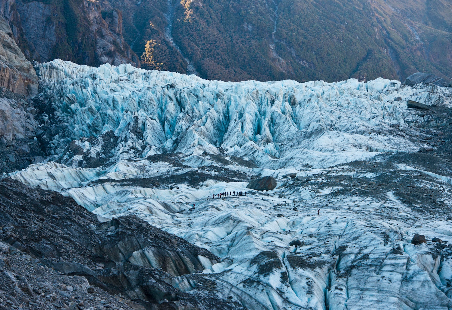 Fox Glacier, New Zealand